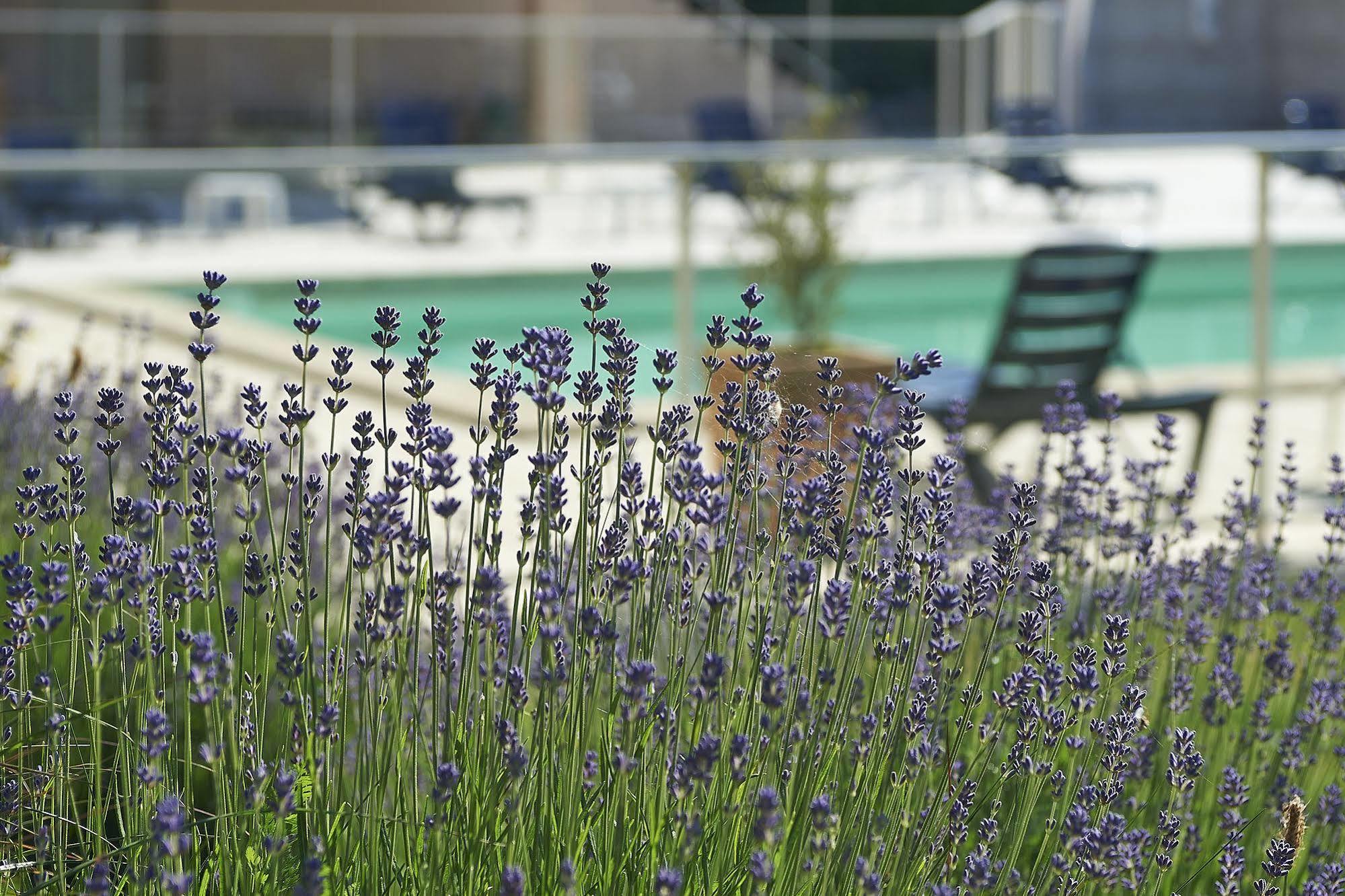 Cit'Hotel Les Alizes Limoges Zewnętrze zdjęcie